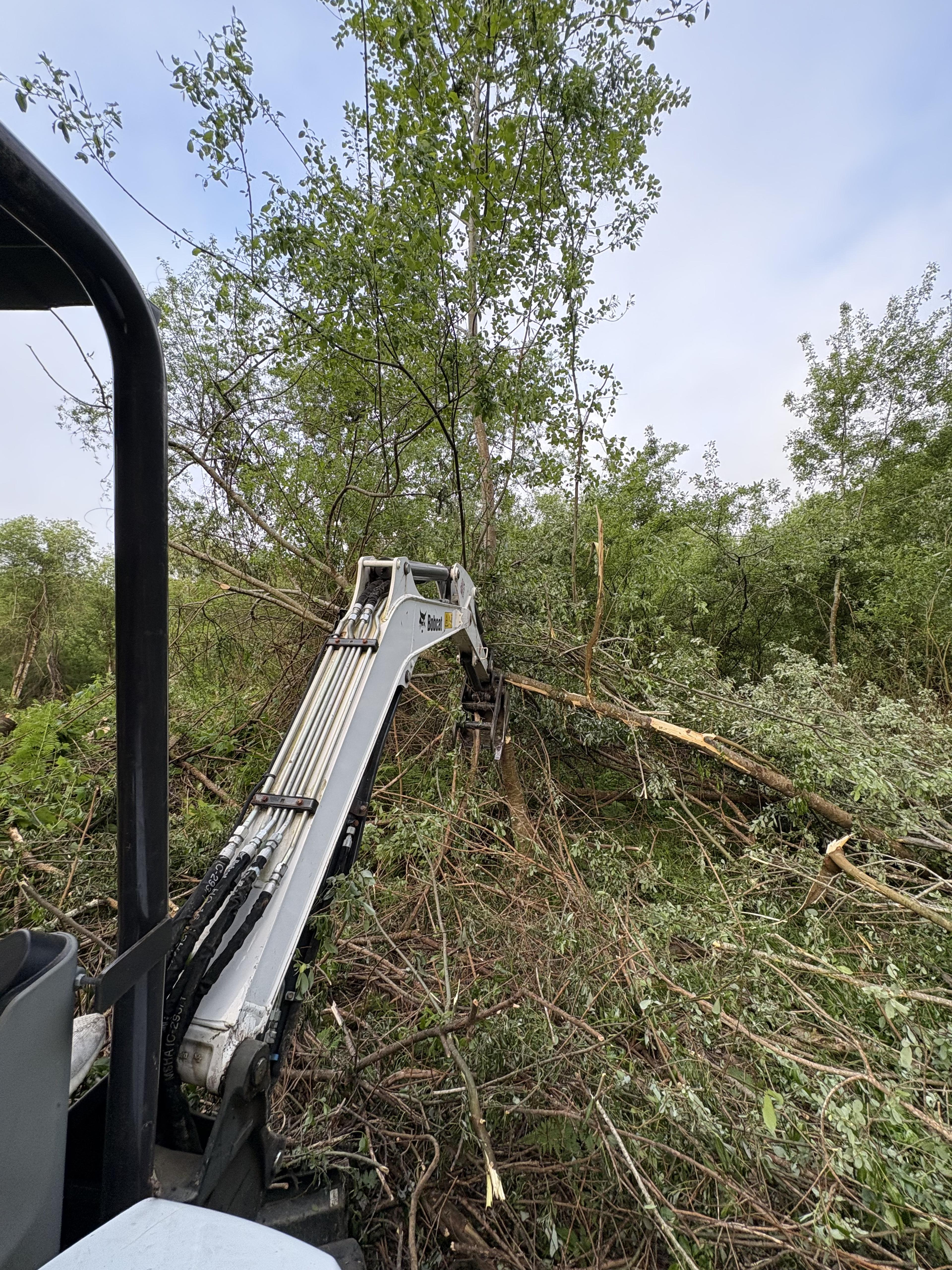 Vegetation Management