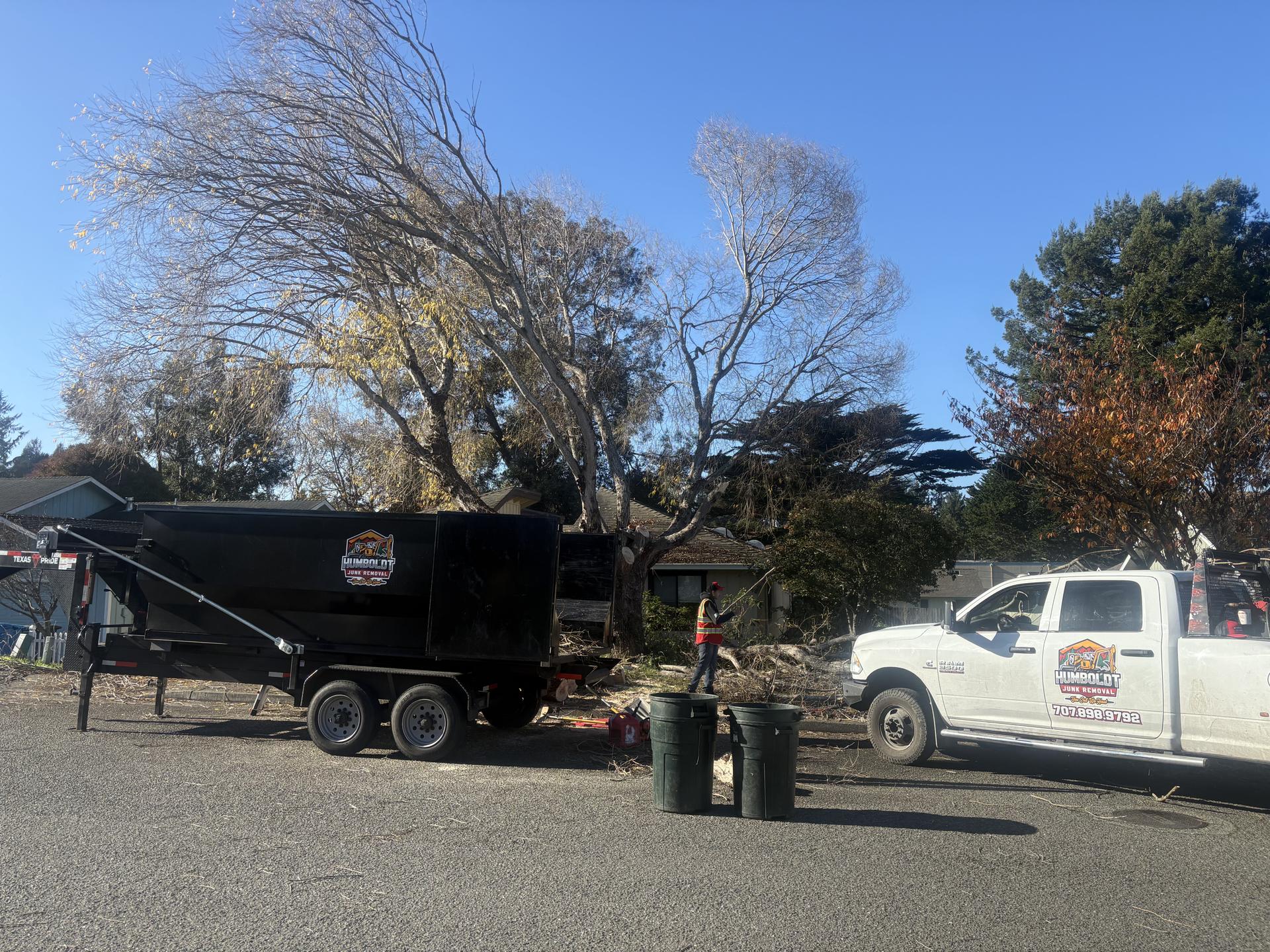 tree branch trimming in Arcata and Eureka