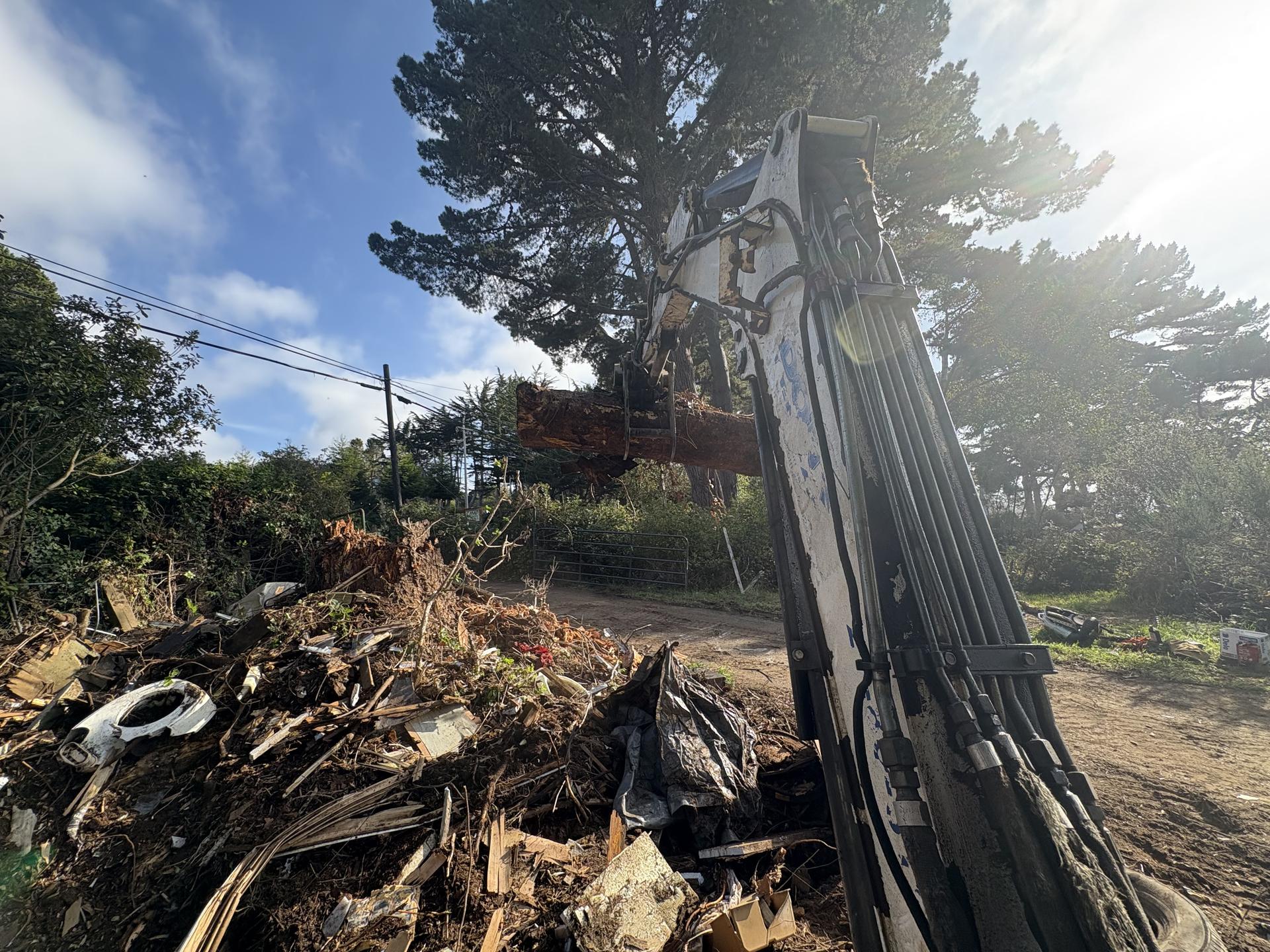 Fallen tree being cleared from residential property
