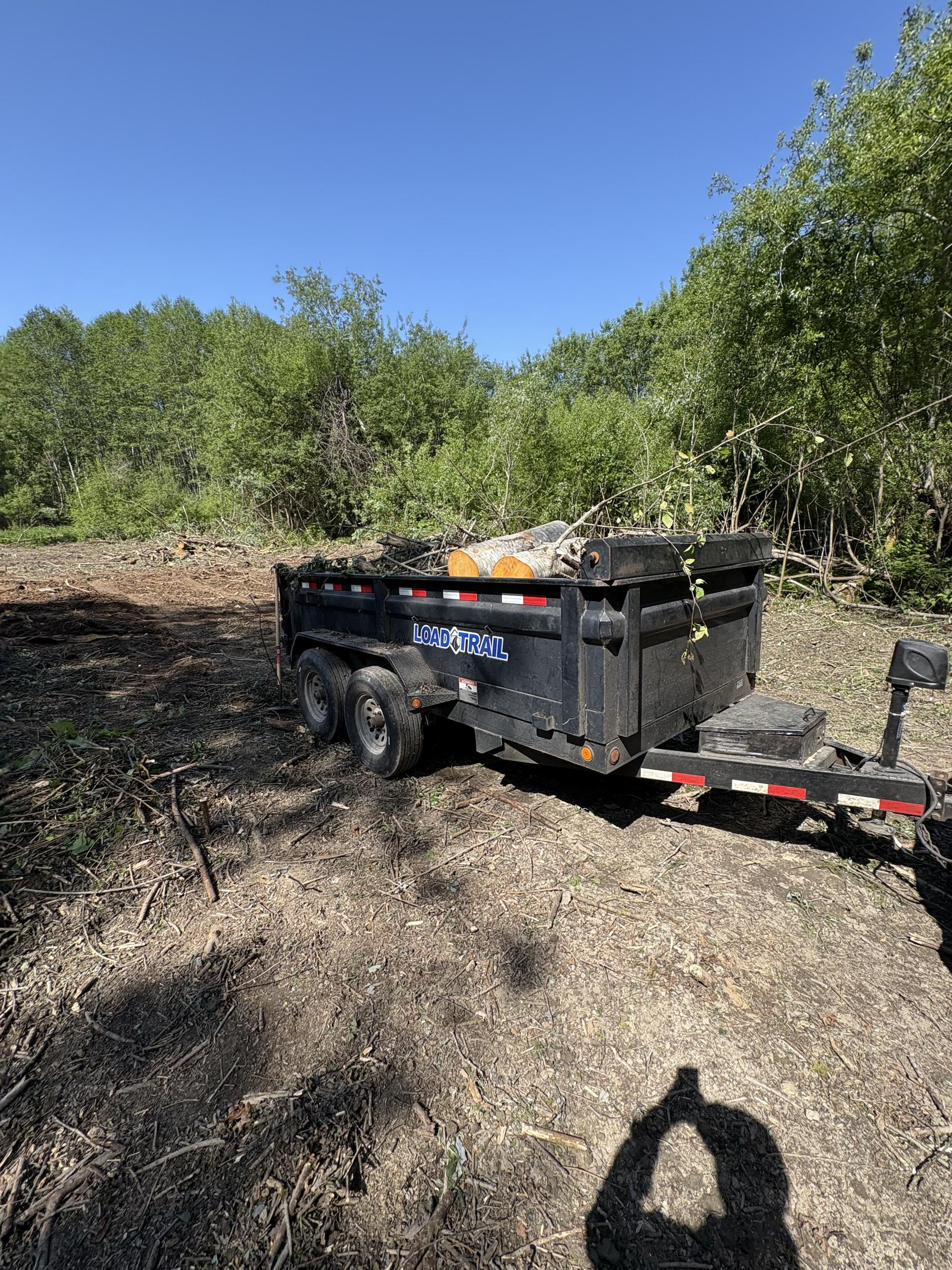 Chainsaw cutting through a large storm-damaged tree limb